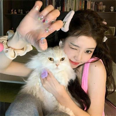 失踪的邦妮封面